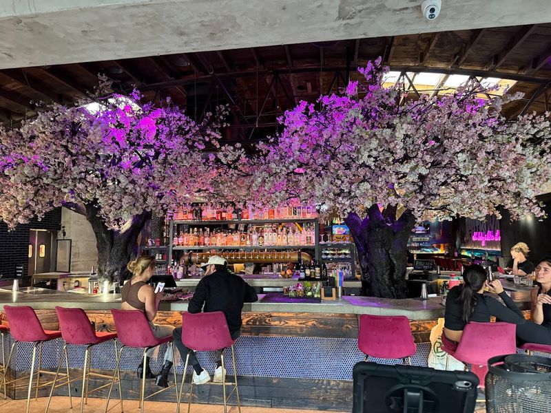 The Atmosphere and Edgy Decor