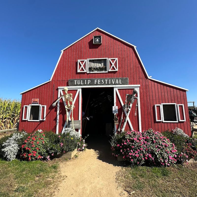 The Barn Store and Farm Market Packed With Seasonal Goodies
