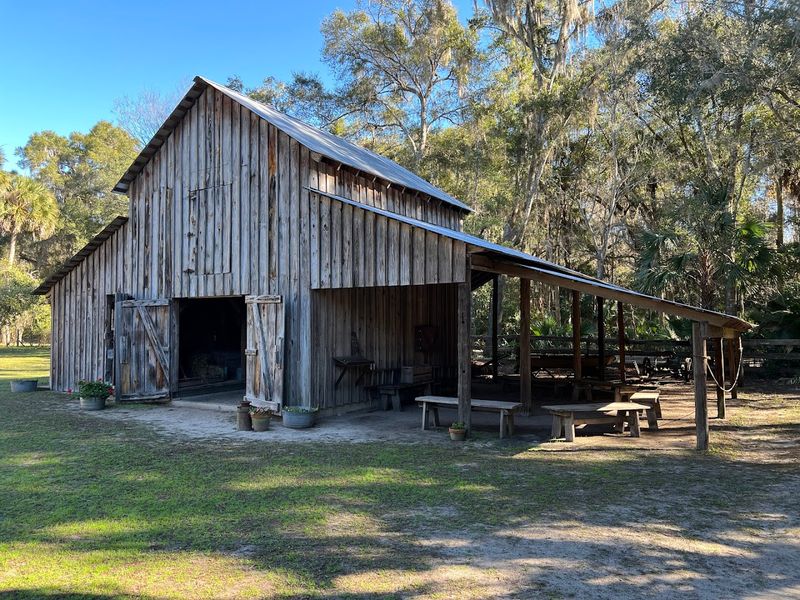 The Barn and Surrounding Farm Structures
