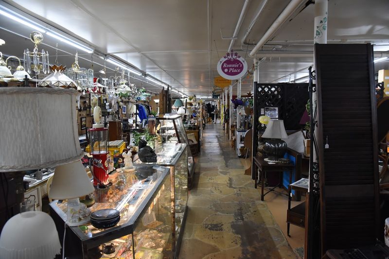 The Basement Level: Where the Real Gems Hide The Basement Level: Where the Real Gems Hide