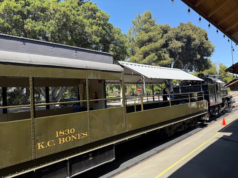 The Beer Train — A Grown-Up Adventure