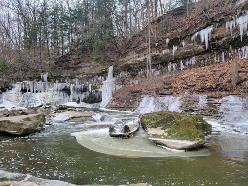 The Best Seasons to Visit for Maximum Magic The Best Seasons to Visit for Maximum Magic