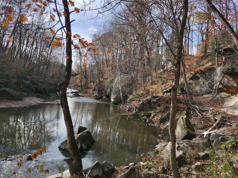 The Black River Gorge And Sandstone Formations