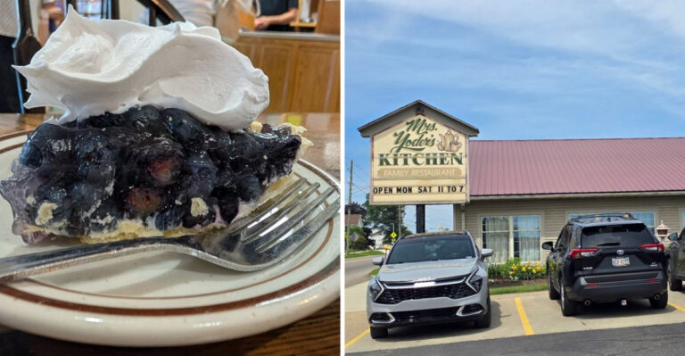 The Blackberry Pies At This Amish Restaurant In Ohio Are So Delicious, One Slice Is Never Enough