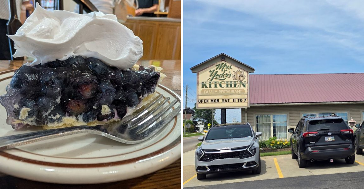 The Blackberry Pies At This Amish Restaurant In Ohio Are So Delicious One Slice Is Never Enough