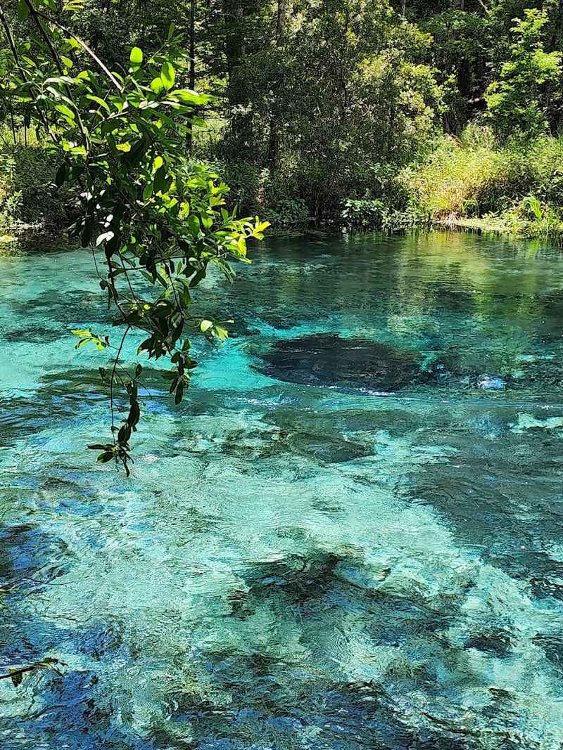 The Blue Hole — A Magical Spring Vent Worth Every Step