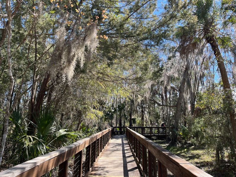 The Boardwalk That Puts You Right in the Action The Boardwalk That Puts You Right in the Action
