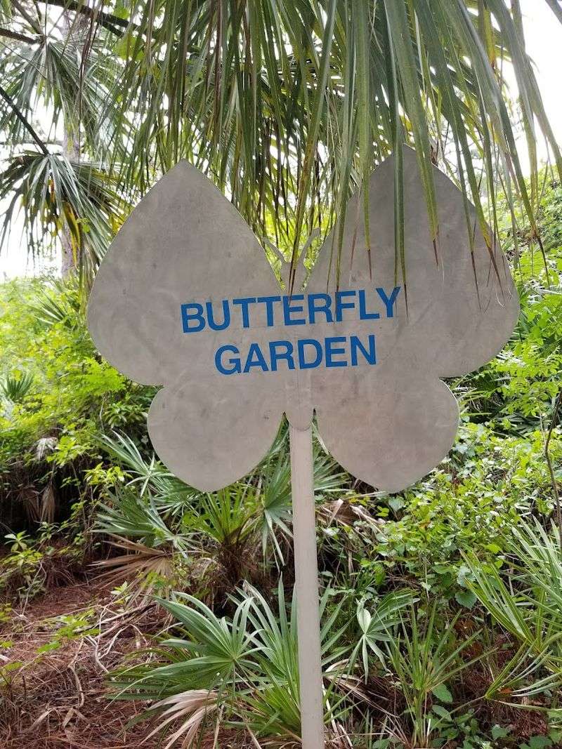 The Butterfly Garden That Teaches and Delights The Butterfly Garden That Teaches and Delights
