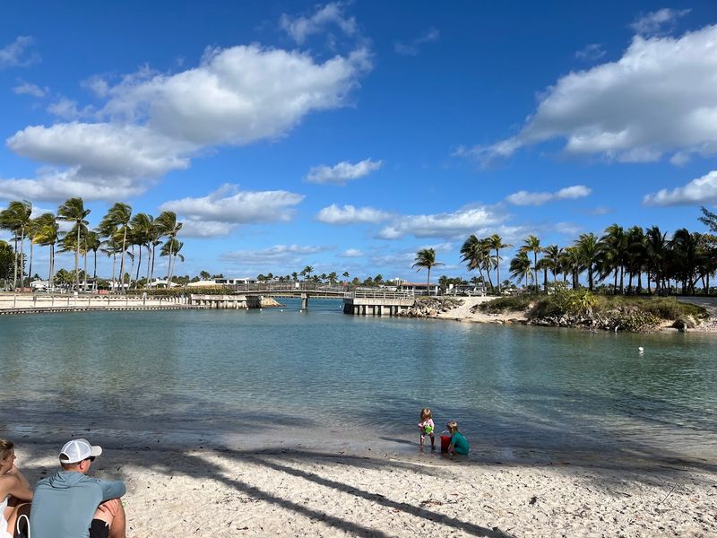 The Calm Lagoon: A Natural Swimming Pool for All Ages The Calm Lagoon: A Natural Swimming Pool for All Ages