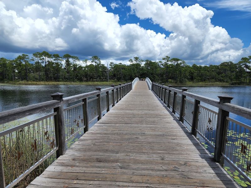 The Calming Coastal Dune Lakes