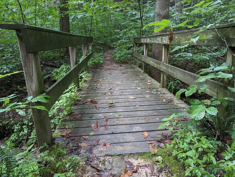 The Campground Along the Creek: Quiet Nights in the Woods The Campground Along the Creek: Quiet Nights in the Woods