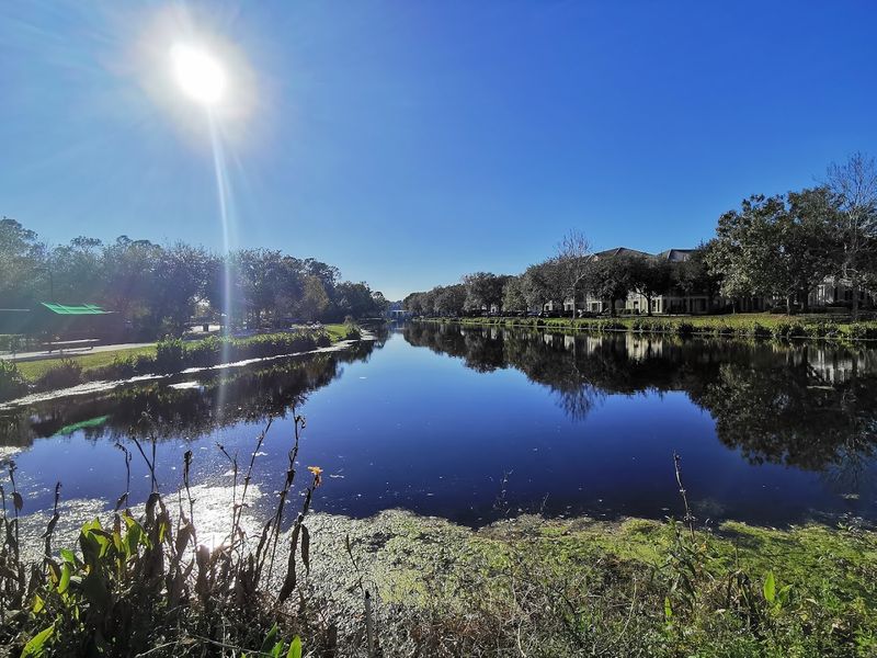 The Celebration Boardwalk and Nature Trails