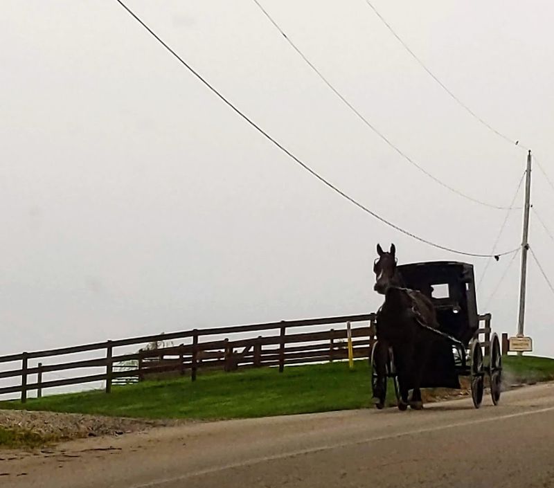 The Charm of Millersburg: The Heart of Amish Country