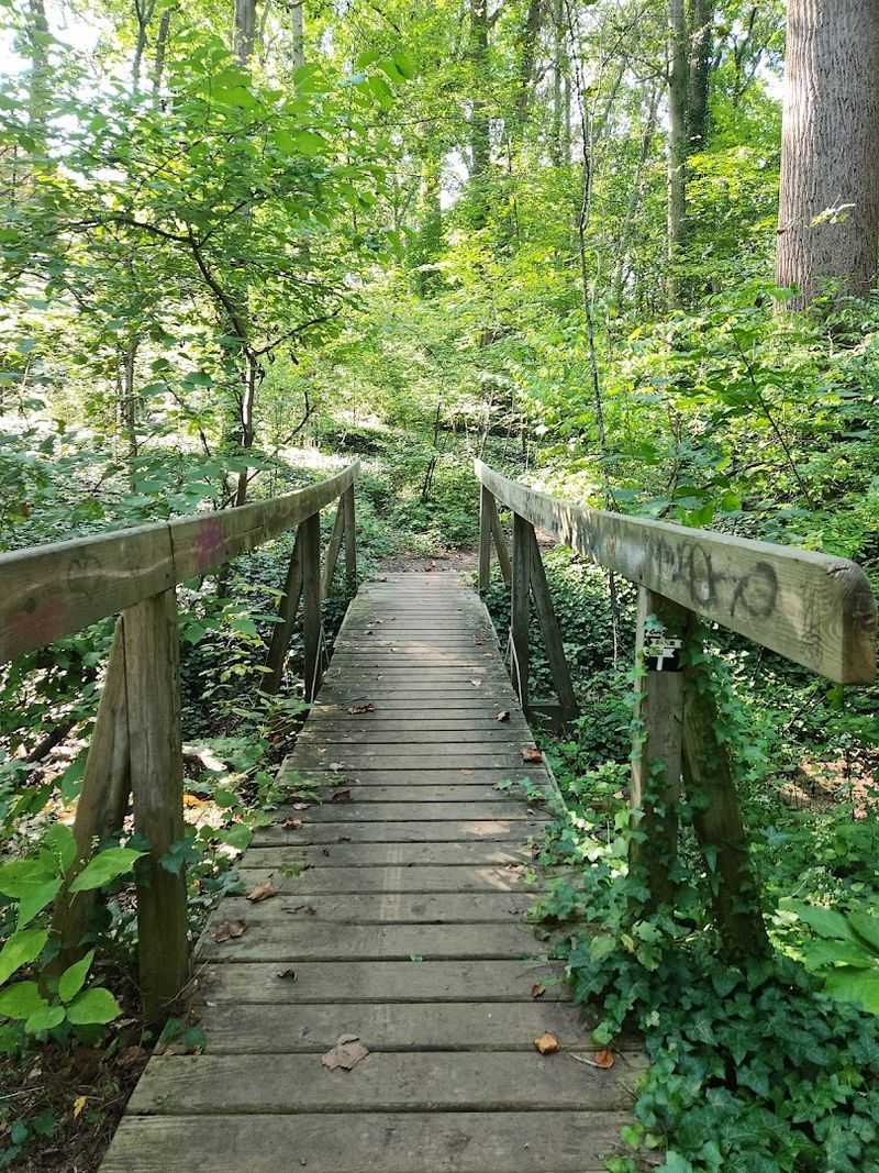 The Charming Little Wooden Bridges Along the Path