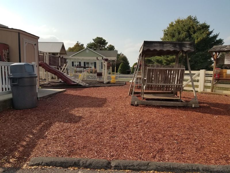 The Charming Outdoor Picnic Area and Farm Animals