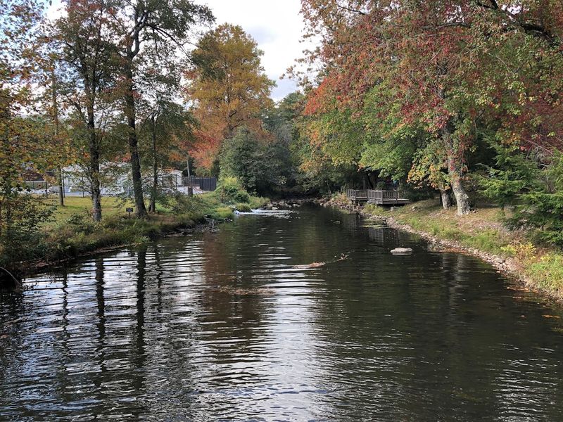 The Chattahoochee Fish Hatchery Next Door Is Free and Fascinating