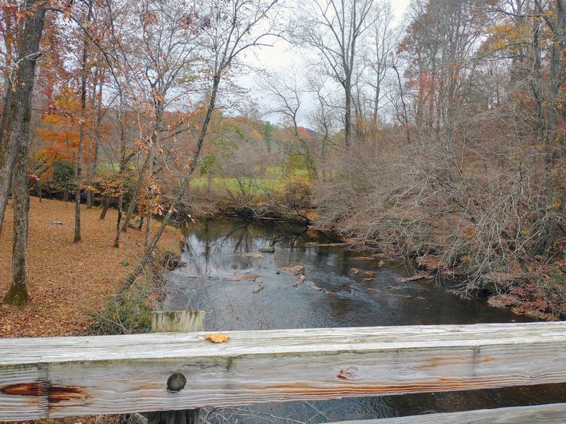 The Chattahoochee River: A Flowing Companion
