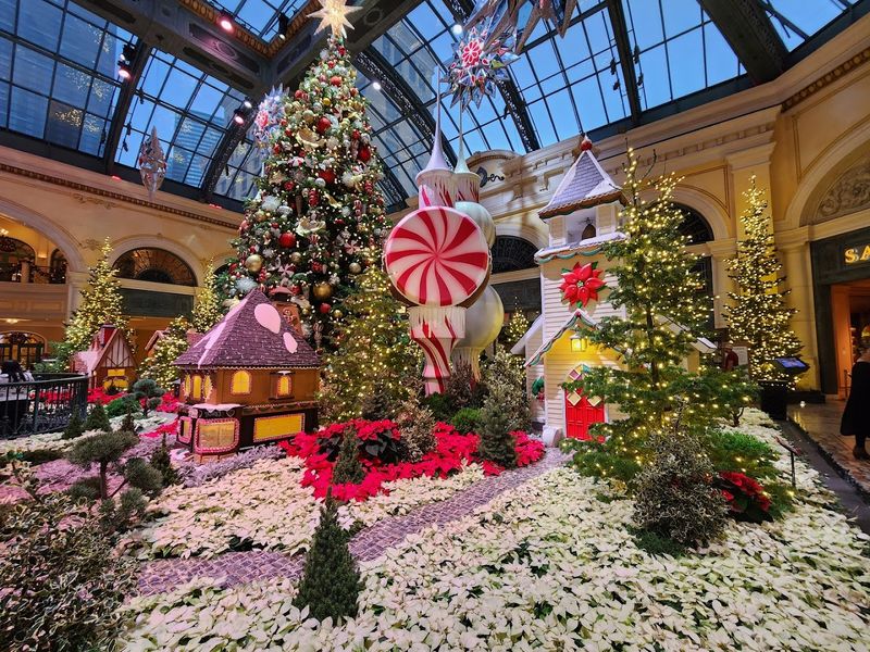 The Christmas Display Is Pure Holiday Magic