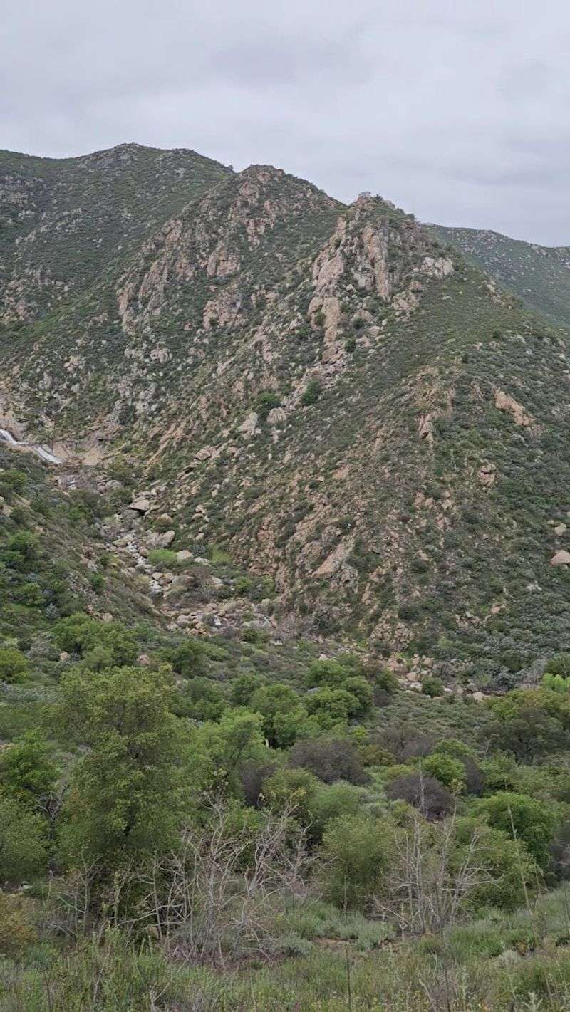 The Climb Back Out: Saving Energy for the Return Trip