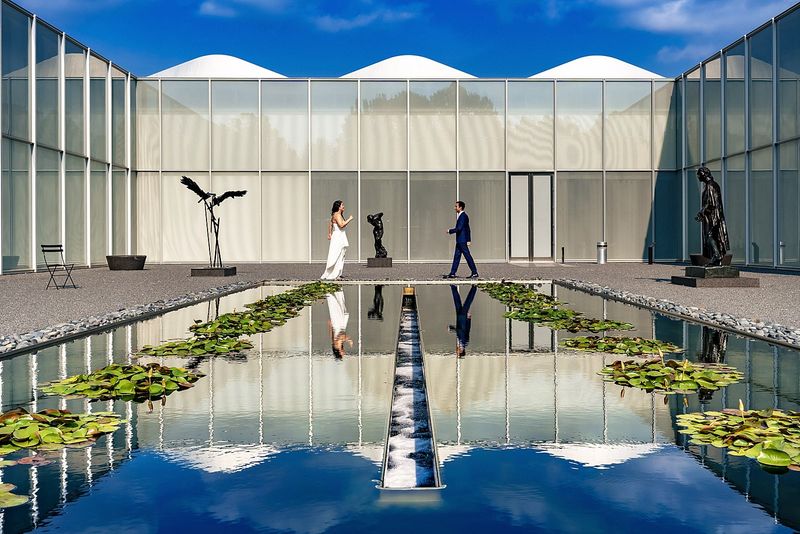 The Cloud Chamber for the Trees and Sky Installation