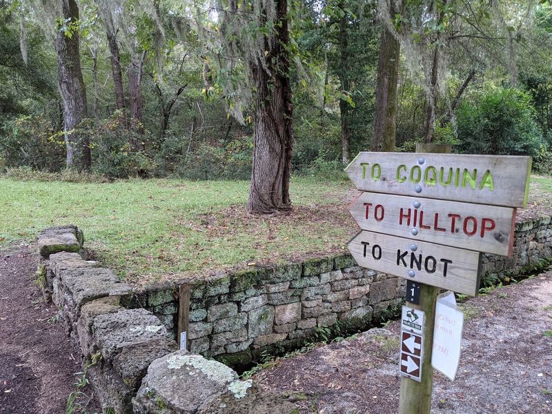 The Coquina Trail: A Perfect Starter Hike