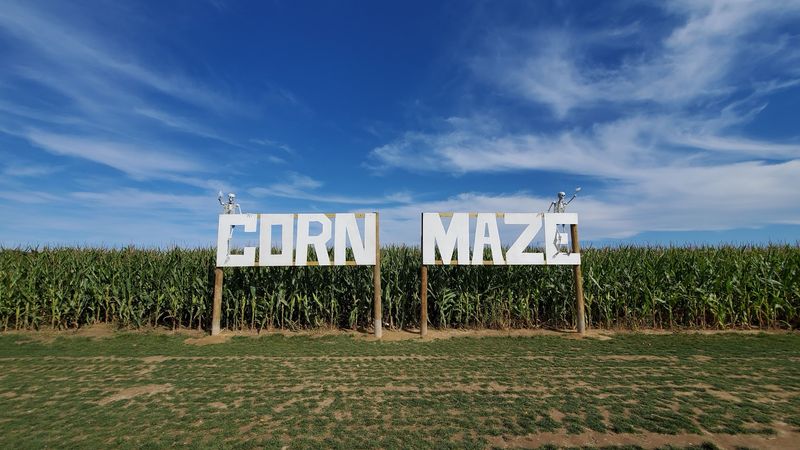 The Corn Maze That Turns a Simple Walk Into an Adventure