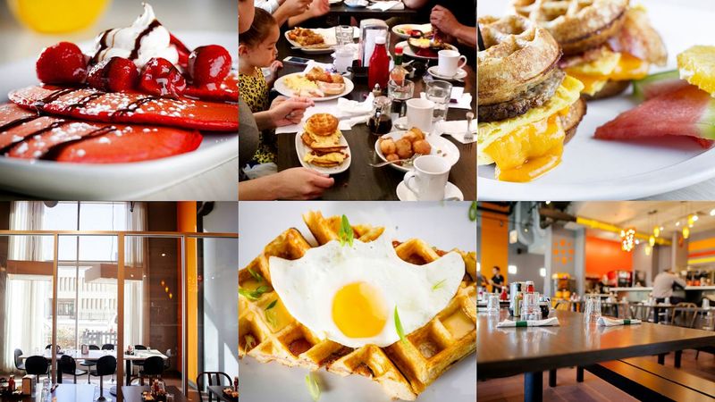 The Cozy, Quirky Atmosphere You Will Love