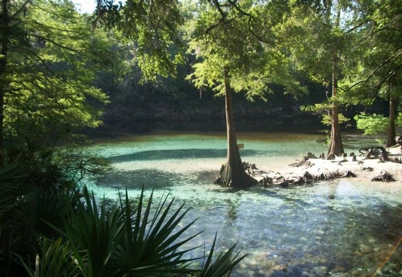 The Crystal-Clear Spring Basin The Crystal-Clear Spring Basin