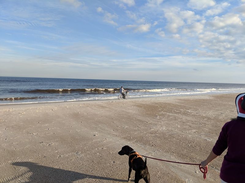 The Dog-Friendly Beach Stretch The Dog-Friendly Beach Stretch
