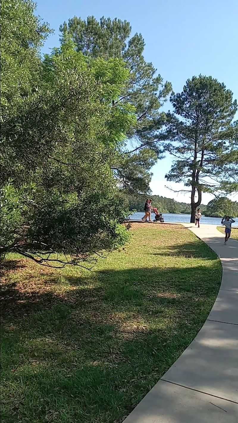 The Dog Park for Four-Legged Friends The Dog Park for Four-Legged Friends