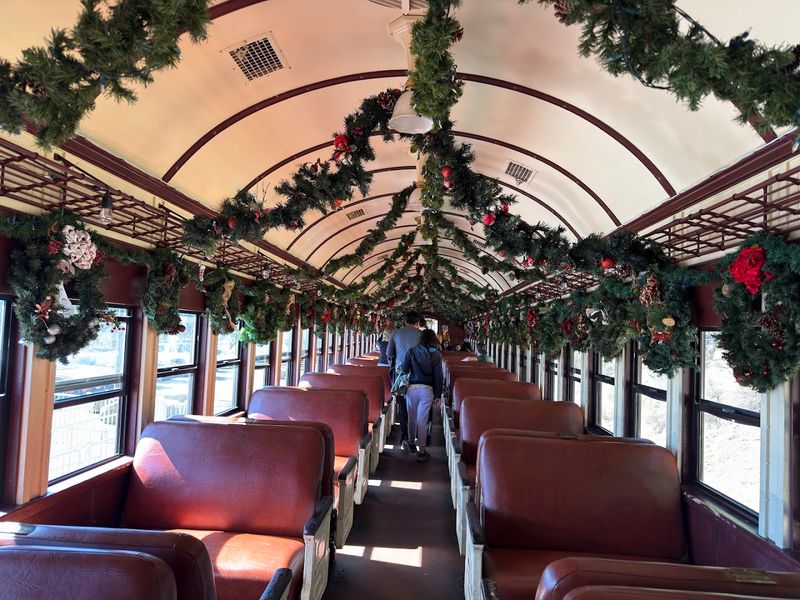 The Dome Car Experience