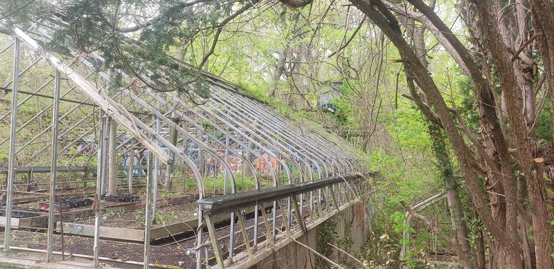 The Eerie Abandoned Greenhouses Frozen in Time