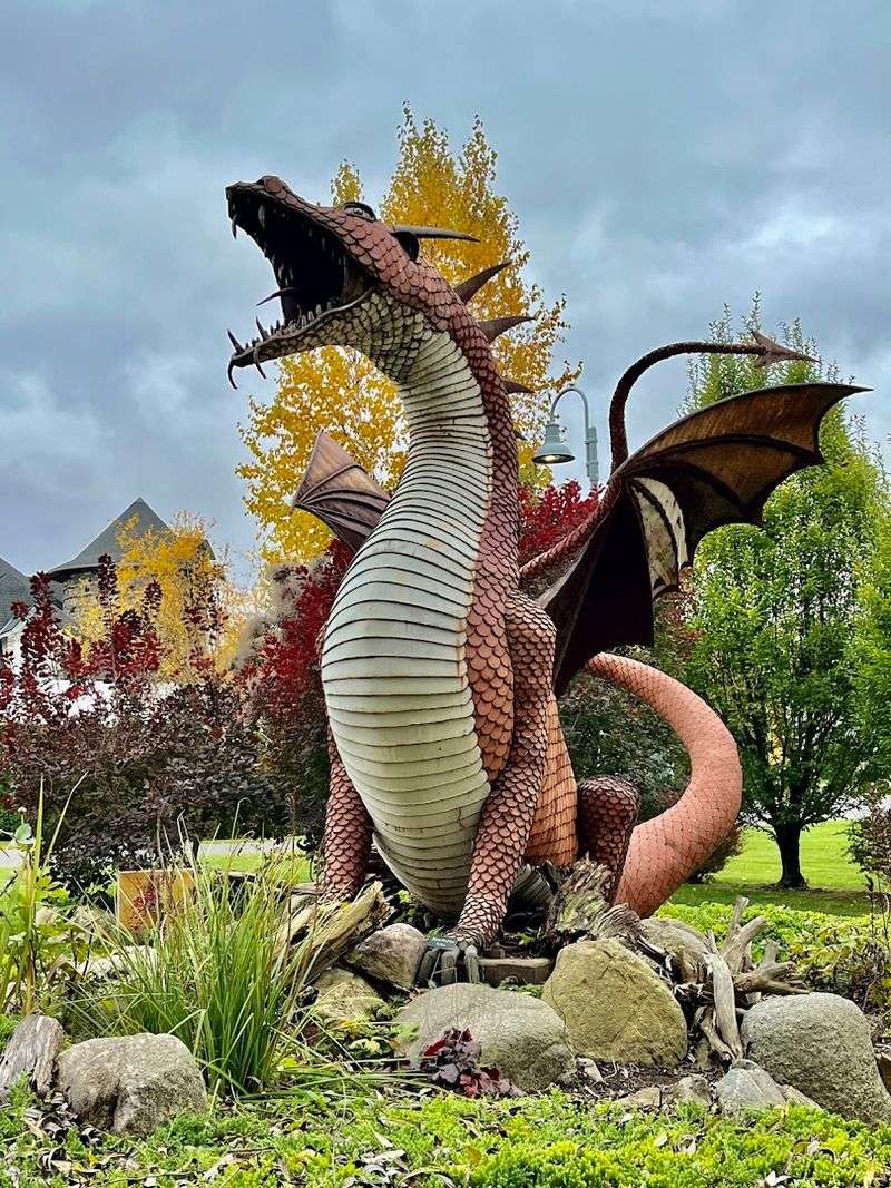 The Enchanted Forest Trail