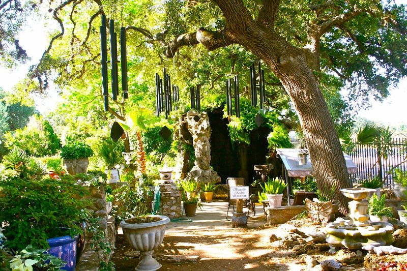 The Enchanting Butterfly Garden