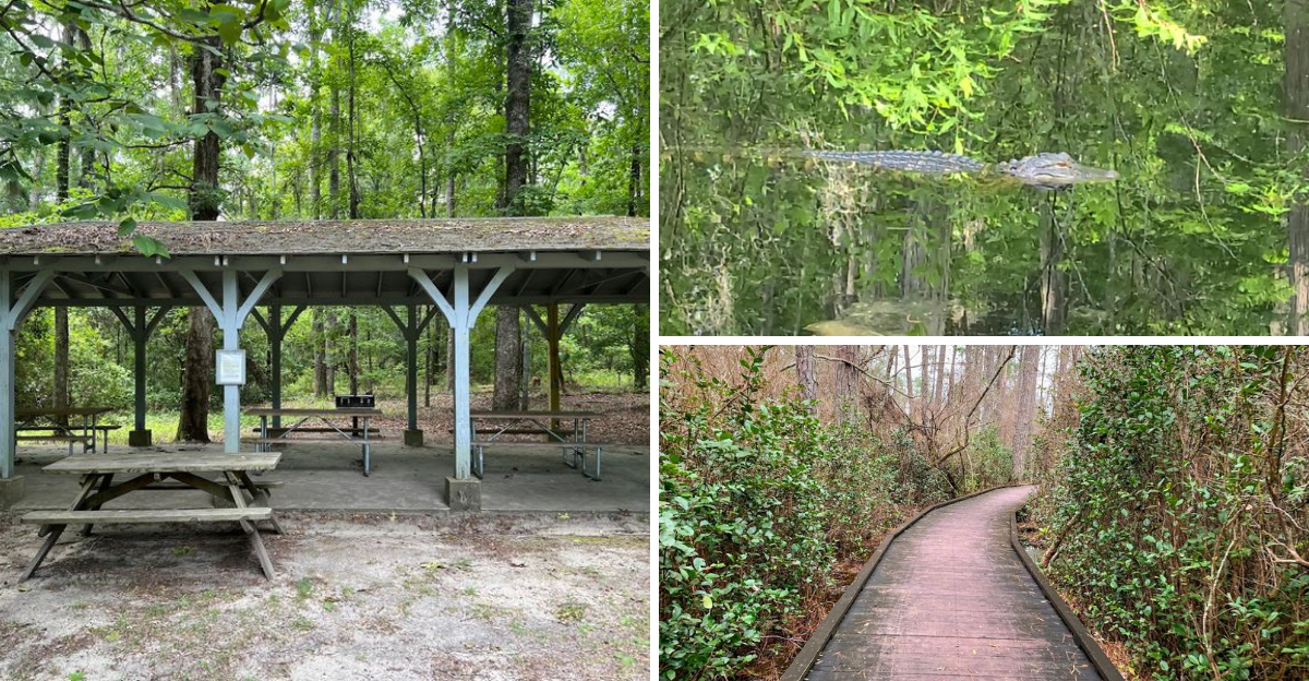 The Extraordinary South Carolina State Park That Somehow Remains One Of The State’s Best-Kept Secrets
