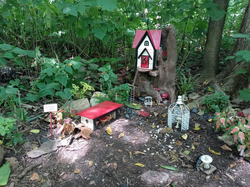 The Fairy House Path and Enchanted Forest Feel The Fairy House Path and Enchanted Forest Feel