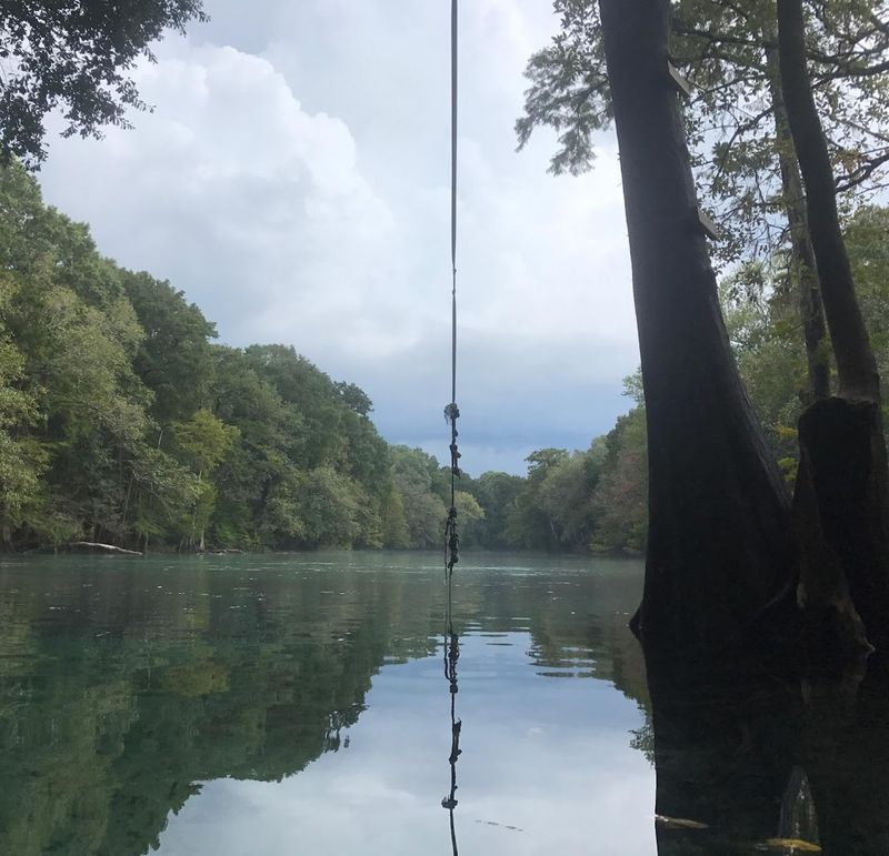The Famous Rope Swing: A Must-Try Thrill