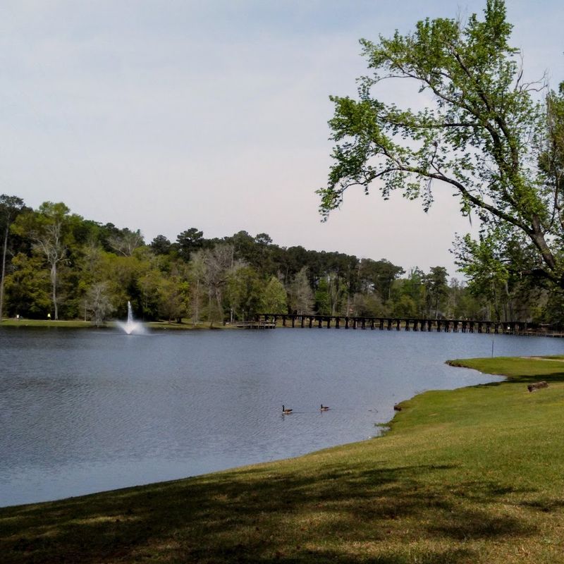 The Famous Thomasville Rose Garden