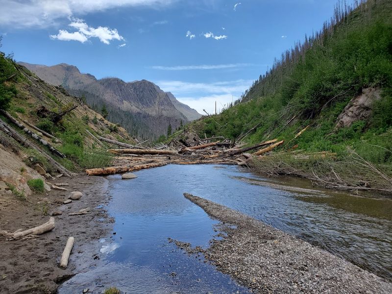 The Fire History That Shaped the Landscape The Fire History That Shaped the Landscape