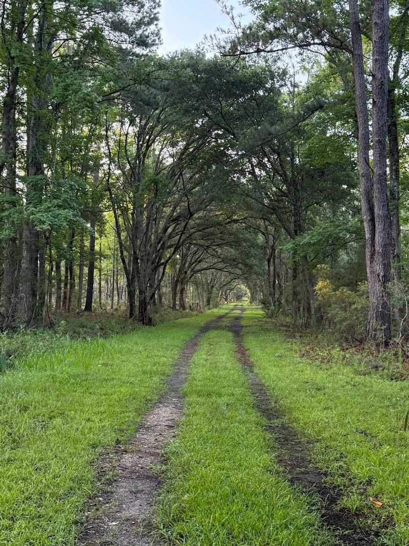 The Flat, Easy Trails Perfect for All Fitness Levels
