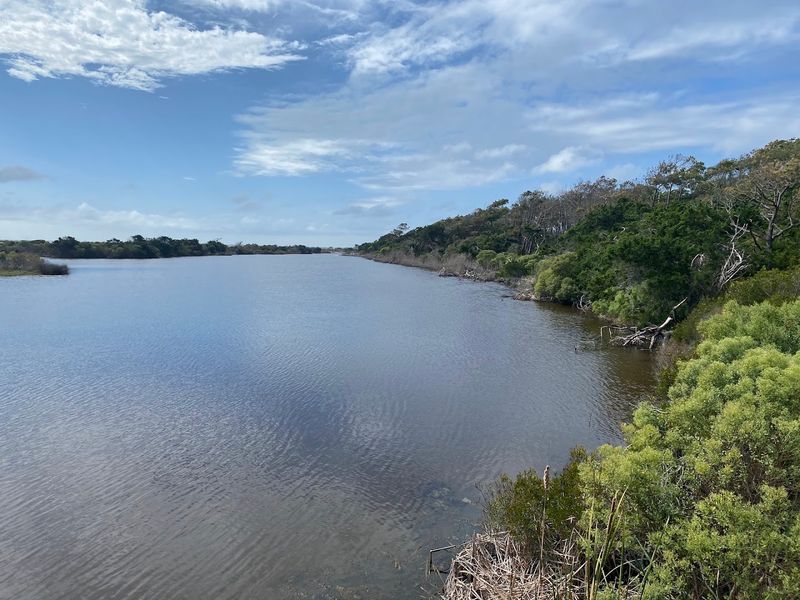 The Freshwater Lagoon That Hides in Plain Sight