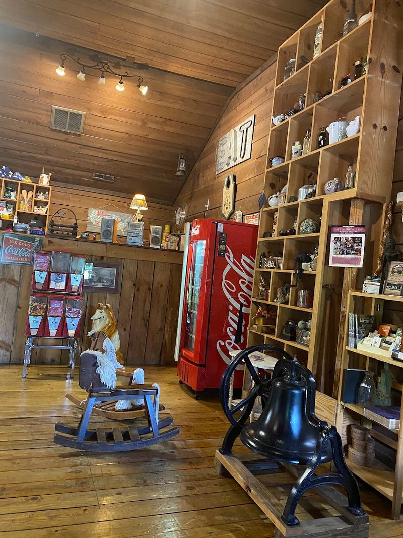 The General Store and Antique Browsing Experience