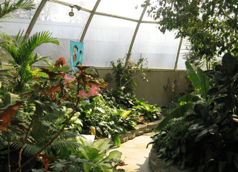 The Glass-Domed Conservatory