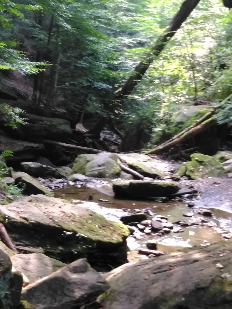 The Gorge Below The Falls Is Worth Exploring