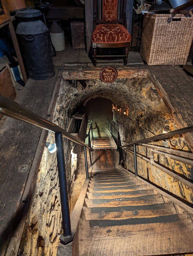 The Guided Tour Experience Before Your Meal
