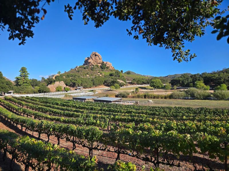 The Guided Wine Hiking Experience