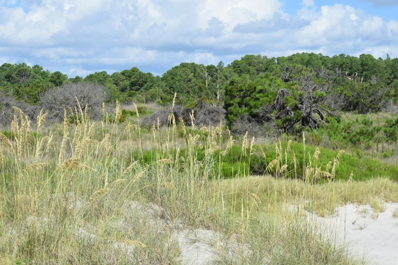 The Gullah-Geechee Culture That Calls Sapelo Home