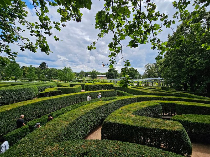 The Hedge Maze That Challenges and Delights Visitors of All Ages