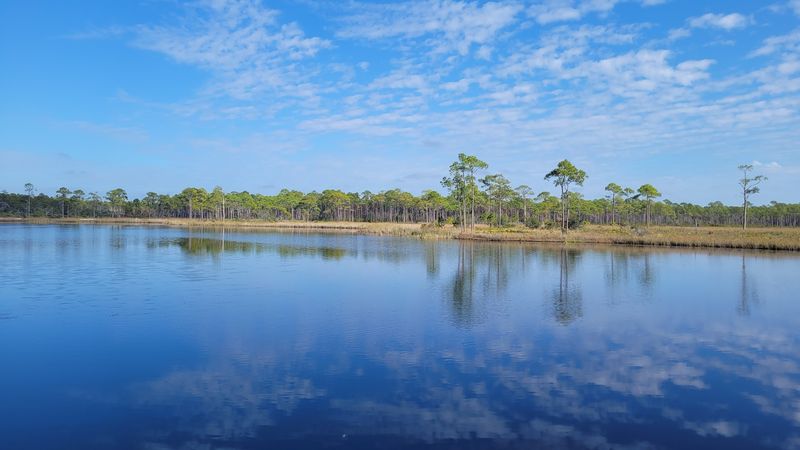 The Hidden Coastal Dune Lake That Steals the Show The Hidden Coastal Dune Lake That Steals the Show