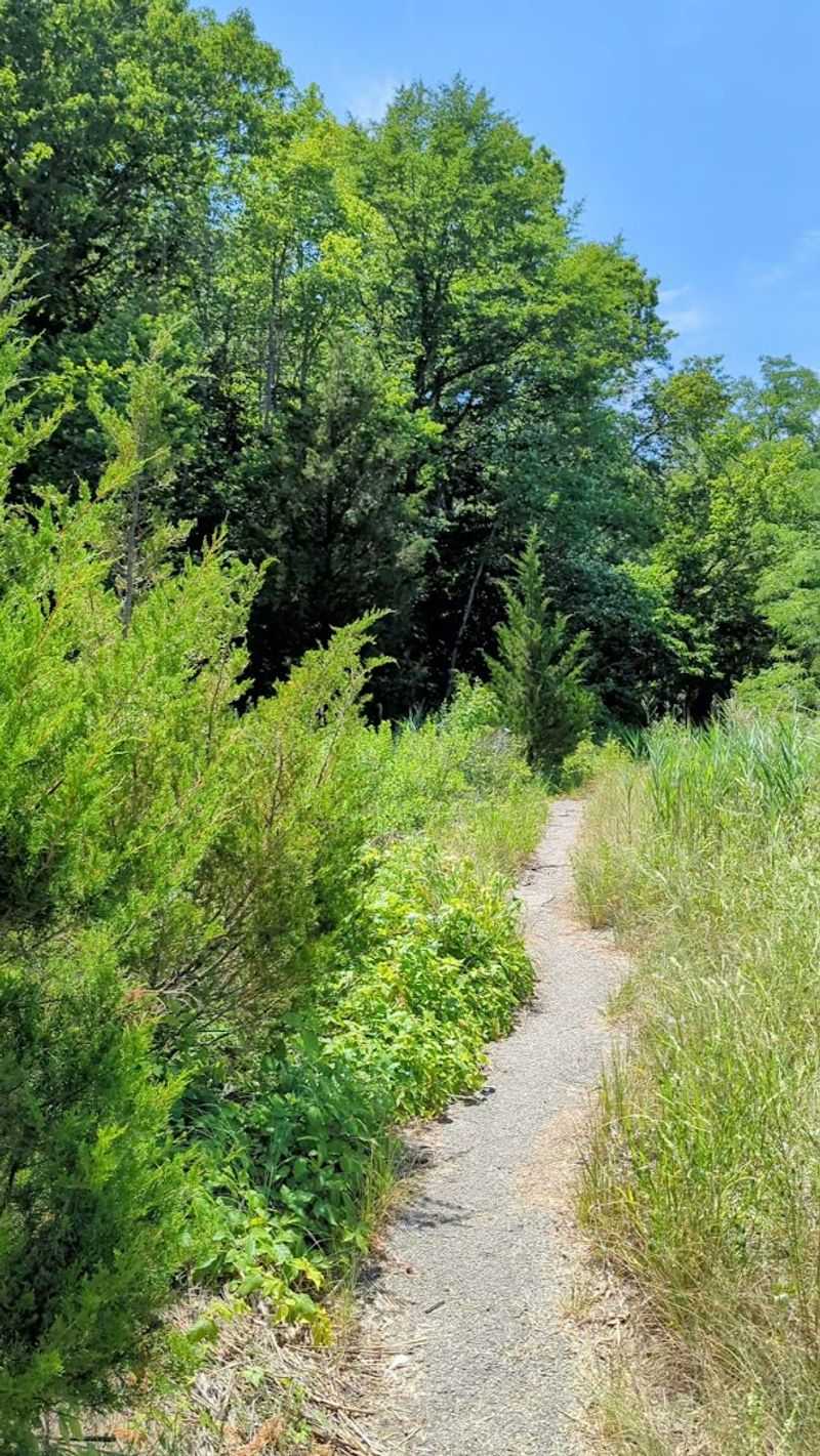 The Hidden Trailhead That Most People Drive Right Past